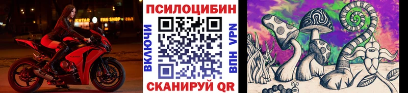 Галлюциногенные грибы Psilocybe OMG зеркало darknet официальный сайт Болхов